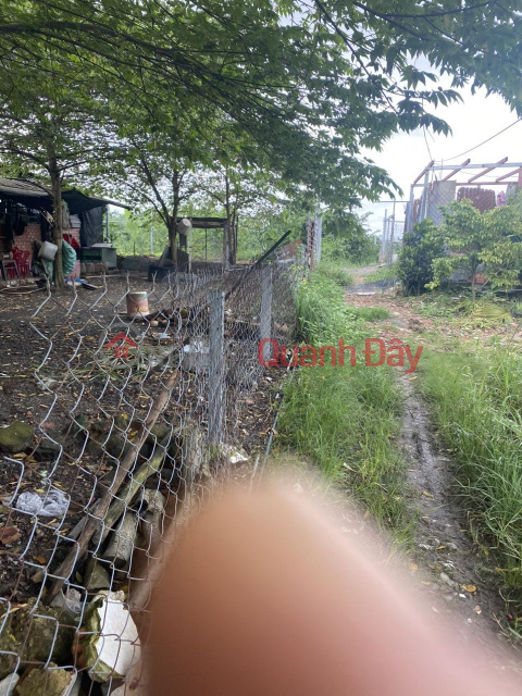 GENERAL FOR SALE Beautiful LOT - Special Price TX25 Street, Thanh Xuan Ward, District 12 _0