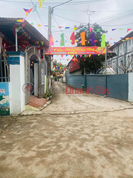 Quick sale of land by owner in cluster 1, Tho Xuan commune, Dan Phuong - Right at Dieu Hoa lake, Vietnam | Sales | đ 10.22 Billion