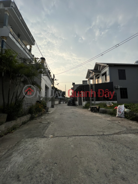 Property Search Vietnam | OneDay | Residential | Sales Listings | The owner of my family wants to sell a 119m2 plot of land in lane 2 of interprovincial road 419