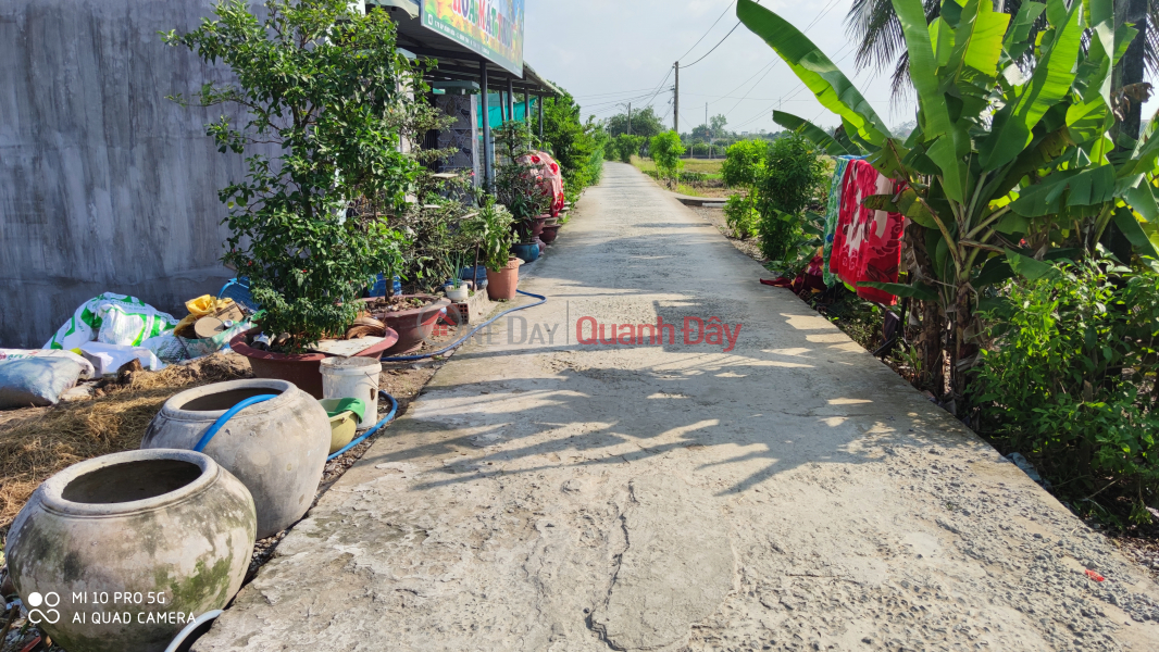 Property Search Vietnam | OneDay | Nhà ở Niêm yết bán Bán lô đất thổ Tân Trụ mặt tiền 5 m bê tông giá 1,4 tỷ