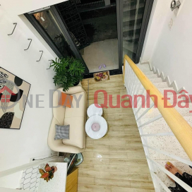 Masterful mezzanine house for rent on Le Duan - Hai Chau - City Center _0