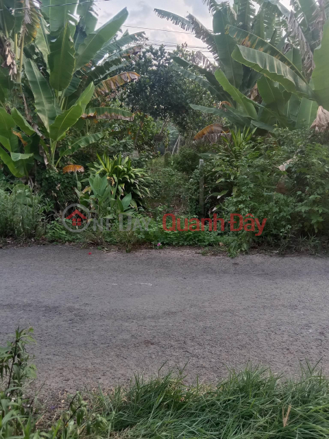 BEAUTIFUL LAND - GOOD PRICE - Urgent Sale Land Lot Beautiful Front In Tan Phu Commune, Chau Thanh District, Dong Thap _0