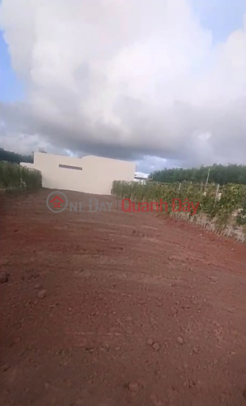 Chính chủ bán 2 lô đất liền kề đối diện KCN Đất Đỏ - Mỗi lô 173m2, gần biển, chỉ 2,8 tỷ 1 lô _0