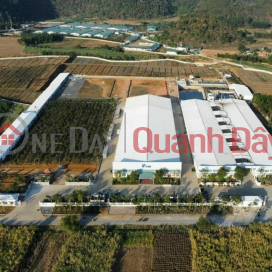 Beautiful Land - Good Price - Owner Needs to Sell Land Lot in Beautiful Location in Thach Quang Thach Thanh Commune - Thanh Hoa. _0