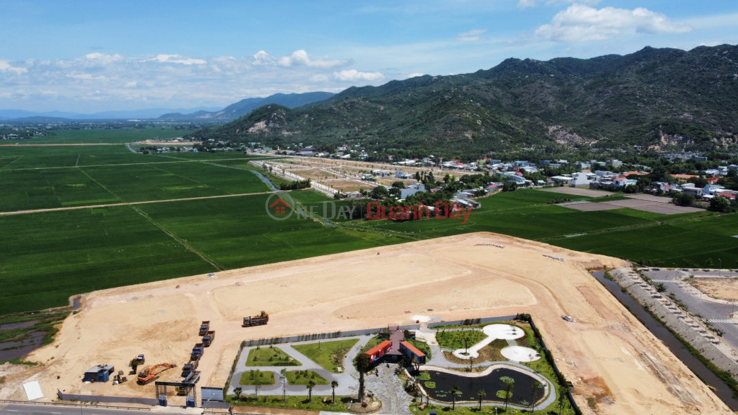 New commercial and service area in the center of Binh Dinh province, reference investment products 2023 | Vietnam Sales, đ 6.5 Billion