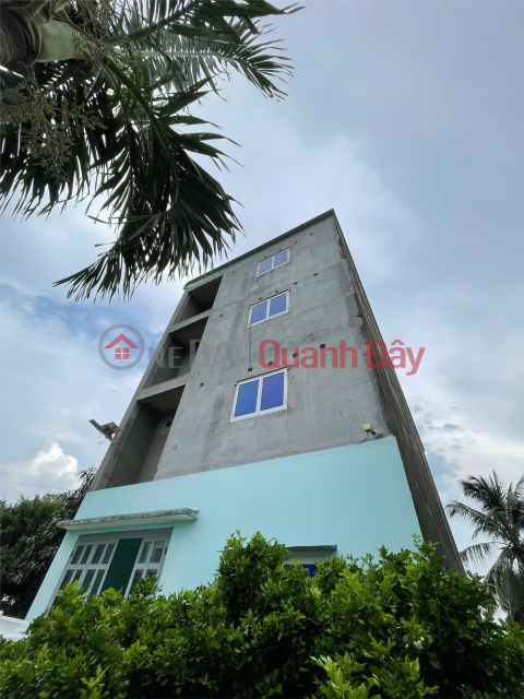 Land for sale with 5-year bird's nest house gift in Go Cong, Tien Giang. Vacation and income, 50km from Ho Chi Minh City _0