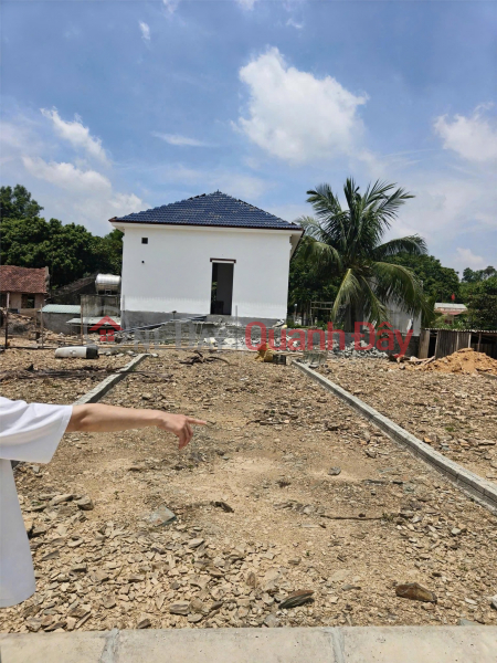 Property Search Vietnam | OneDay | Residential | Sales Listings | PROFITABLE INVESTMENT – 3 PLOTS OF LAND FOR SALE IN A PRIME LOCATION IN THACH THANH DISTRICT, THANH HOA PROVINCE