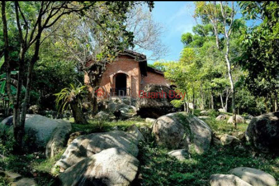 Bảo tàng Đồng Đình (Dong Dinh Museum) Sơn Trà | ()(3)