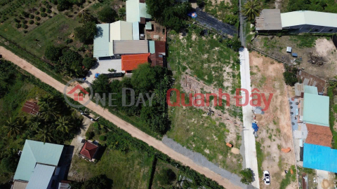 ĐẤT ĐẸP - ĐẦU TƯ SINH LỜI - Cần Bán Nhanh 13 Nền Đất Tại Gia Tân, Gia Lộc, Trảng Bàng, Tây Ninh _0