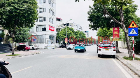 Lam Ha mini villa, 90m², 5.6m frontage, subdivided plot with car access, close to the road connecting to Tran Hung Dao bridge. _0