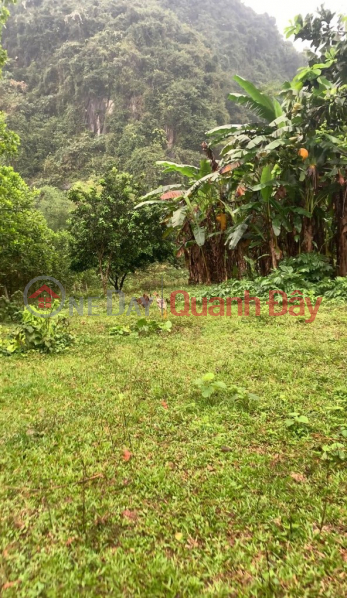 Property Search Vietnam | OneDay | | Niêm yết bán | Bán lô đất 1652,9m full thổ cư, Lương Sơn, Hòa Bình