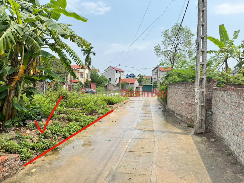 Land for sale in Thanh Lam, Me Linh. Road is clear, cars can avoid, near Me Linh fruit market. Sales Listings