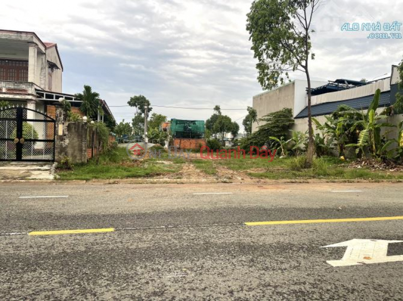 Need to transfer garden land lot on Dien Bien Phu street frontage, Lac Tanh town, Tanh Linh, Binh Thuan, Vietnam, Sales | đ 120 Billion