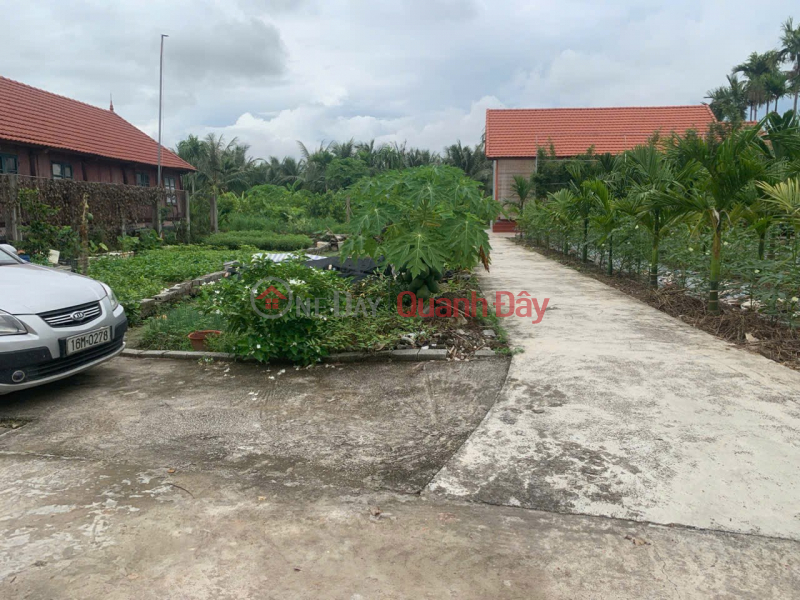 , Làm ơn chọn | Nhà ở Niêm yết bán đ 1,7 tỷ