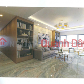 Investor representative sells apartment in Ngoc Khanh Plaza building, CENTER, BEAUTIFUL LOCATION, CAR ACCESS, SUPER CHEAP, 161m2 x only near _0