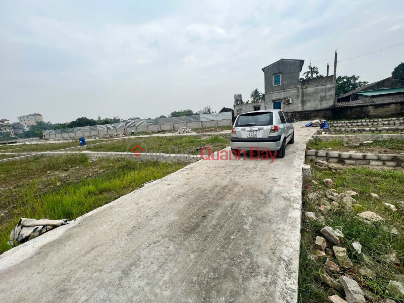 Urgent sale of 42m plot in the center of Kim Bai town, Thanh Oai. Price is 1 billion 3 Sales Listings