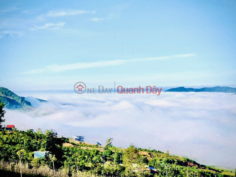 Residential land for resort 20km . from Da Lat Sales Listings