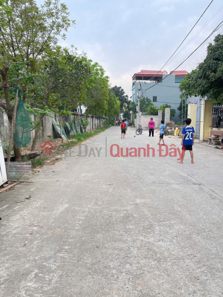 Property Search Vietnam | OneDay | Residential, Sales Listings, Land for sale in Gia Tan village, Quang Minh, Me Linh, Hanoi. Corner lot, frontage for business. Area 54m2, price 3.7 billion.