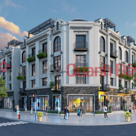 Open booking for Economy City Van Lam project - attractive investment opportunity in the South of Hanoi! _0