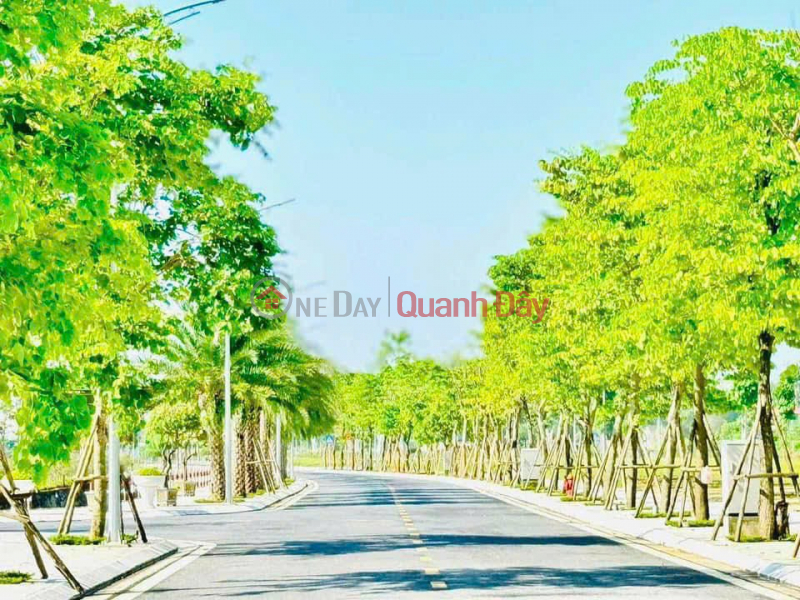 BEAUTIFUL LAND - GOOD PRICE - OWNER Need to Sell Land in Prime Location of DANKO CITY Project, Thai Nguyen City, Vietnam | Sales | đ 2.2 Billion