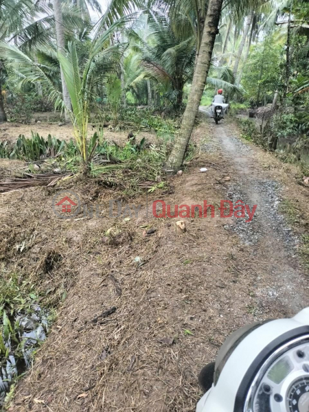 BEAUTIFUL LAND - GOOD PRICE - Quick Sale Land Lot In Thanh Tan Commune, Mo Cay Bac District, Ben Tre | Vietnam | Sales, đ 1.4 Billion