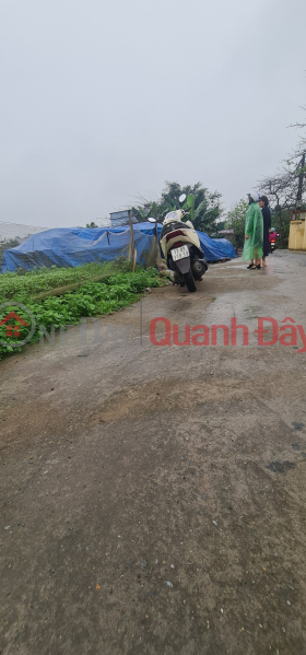 Property Search Vietnam | OneDay | Residential | Sales Listings | Land for sale 113m2, 5m area, Hoang Dieu Ward, Thai Binh City