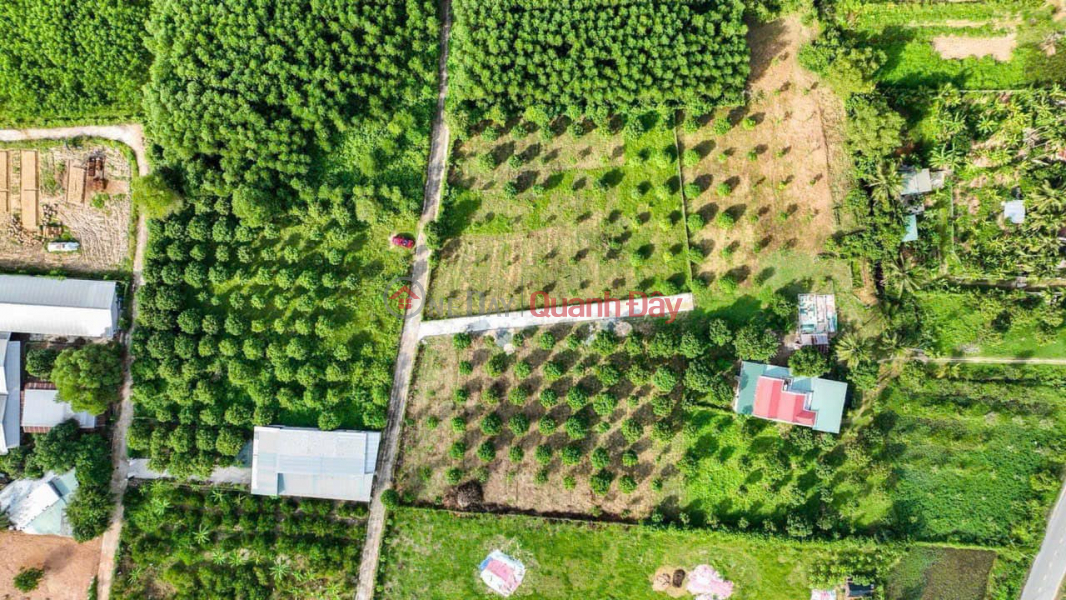 Property Search Vietnam | OneDay | Residential | Sales Listings | OWNER URGENTLY NEEDS TO SELL LAND LOT WITH FULL LAND zoning of 500.6M2 - LOCATED ON 5.5M WIDE ROAD IN SUOI TIEN - DIEN KHANH!