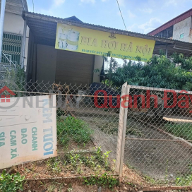 FOR SALE Beautiful Land Lot on Road 289, Nam Duong Commune, Luc Ngan, Bac Giang _0