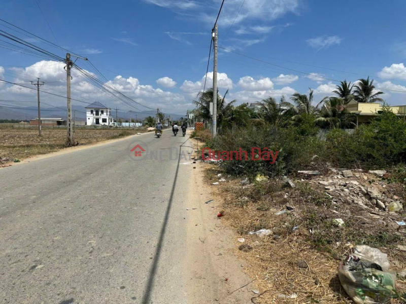 đ 700 Million | Owner Needs To Quickly Sell A Beautiful Plot Of Land Fronting Lien Xa Asphalt Road, Phuoc Hau, Ninh Phuoc, Ninh Thuan