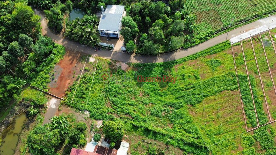 Property Search Vietnam | OneDay | , Sales Listings | Urgent Sale: 5.3 x 25 meters, widening to 7 meters at the rear - Bau Chinh (new Kim Long commune),Ho Chi Minh City