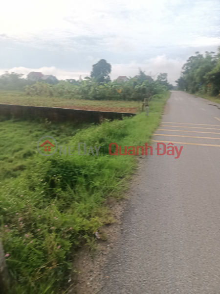 BEAUTIFUL LAND - GOOD PRICE - Land Lot For Sale Prime Location At, Xuan Hong Commune, Tho Xuan District, Thanh Hoa Province Sales Listings