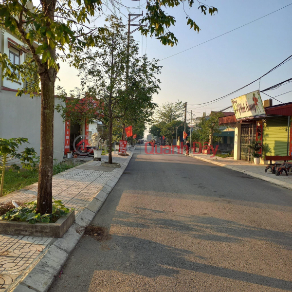 Property Search Vietnam | OneDay | Residential Sales Listings | PRIME LAND FOR OWNER - GOOD PRICE - For Quick Sale Land Lot At Nguyen Chi Hien Street, Trung Thanh Area, Hau Loc Town