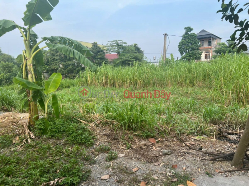 CHÍNH CHỦ BÁN LÔ ĐẤT ĐẸP 60,2M TẠI THỦY XUÂN TIÊN-CHƯƠNG MỸ-HÀ NỘI Niêm yết bán