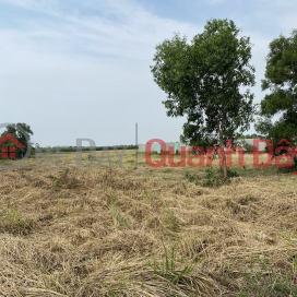 Land for sale on Canal 10 road, only 300m from Ring Road 3. _0