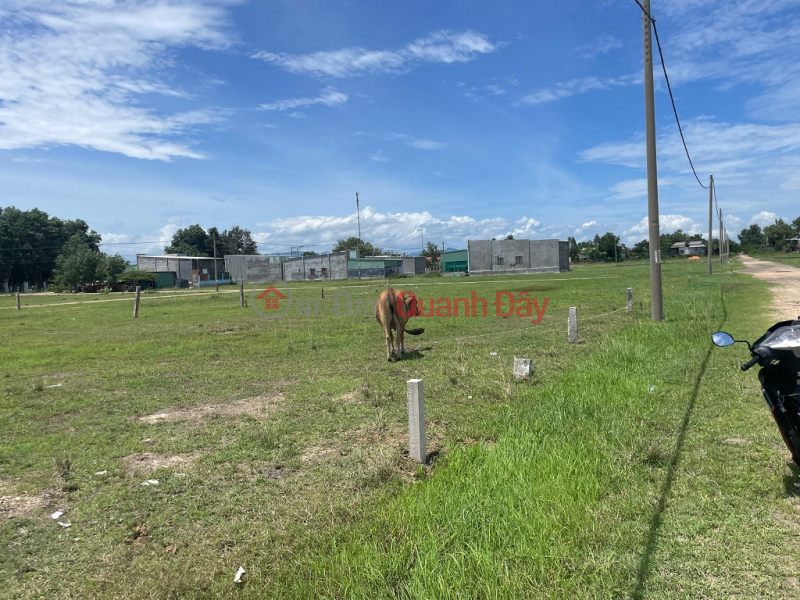 Property Search Vietnam | OneDay | Residential | Sales Listings FOR SALE Land Lot Prime Location At Highway 28B, Song Binh Commune, Bac Binh, Binh Thuan