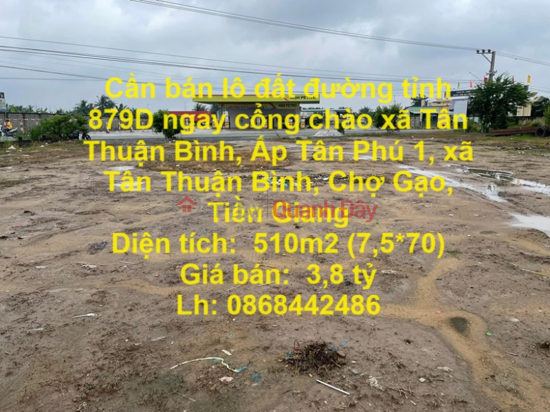 Cần bán lô đất đường tỉnh 879D ngay cổng chào xã Tân Thuận Bình, Chợ Gạo , Tiền Giang Niêm yết bán