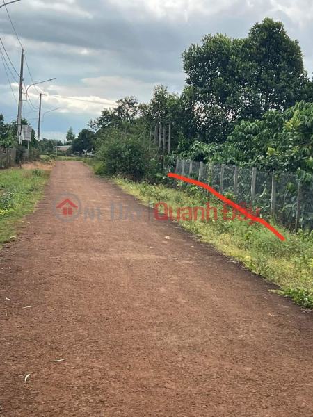 Beautiful Land - Good Price - Owner Needs to Sell Land Lot in Nice Location in City. Pleiku, Gia Lai Sales Listings