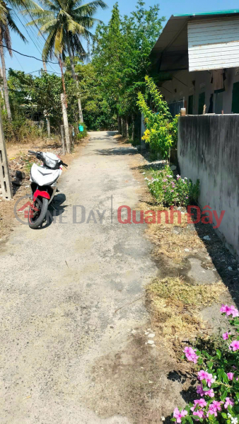 Land by Owner - good price Need to sell quickly a plot of land in a beautiful location in Cam Ranh city, Khanh Hoa province | Vietnam | Sales, đ 850 Million