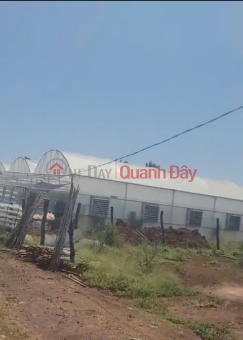 House and garden for sale, 1000m2, Duc Trong – Lam Dong - price 3.25 billion VND. _0