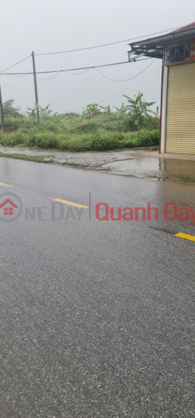 Property Search Vietnam | OneDay | Residential Sales Listings | Roadside Land for Sale, Kien Xuong District, Thai Binh, 1400m2