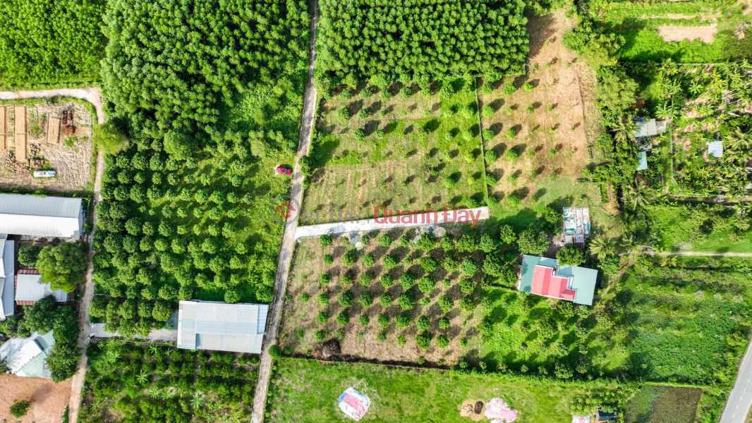 QH Full residential plot of land 500m2 at Suoi Tien - Dien Khanh! The owner offers a shocking discount | Vietnam, Sales, đ 1.05 Billion