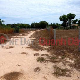BEAUTIFUL LAND - GOOD PRICE - OWNER NEEDS TO SELL 2 LOTS OF LAND IN TAN BINH COMMUNE AND PHUOC TIEN COMMUNE - La Gi Town _0