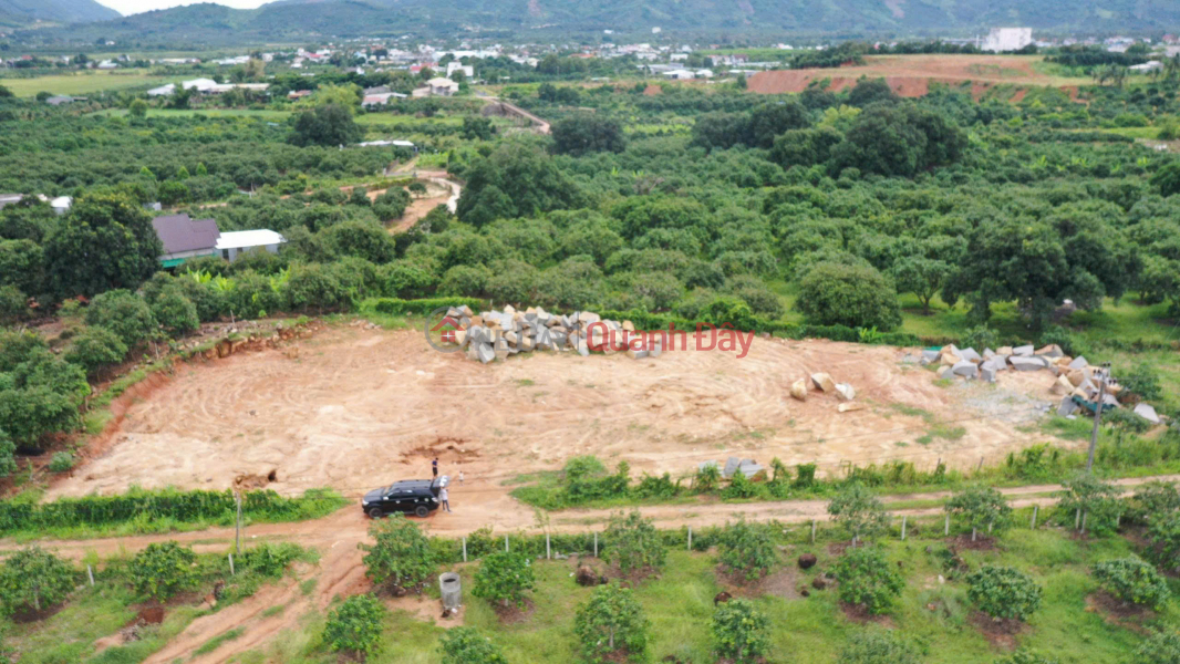 Residential land in Cam Lam for investment, price 6.5 million VND\\/m2, opposite Suoi Dau industrial cluster. 8m wide road. ZalO7-53.53.53O Sales Listings