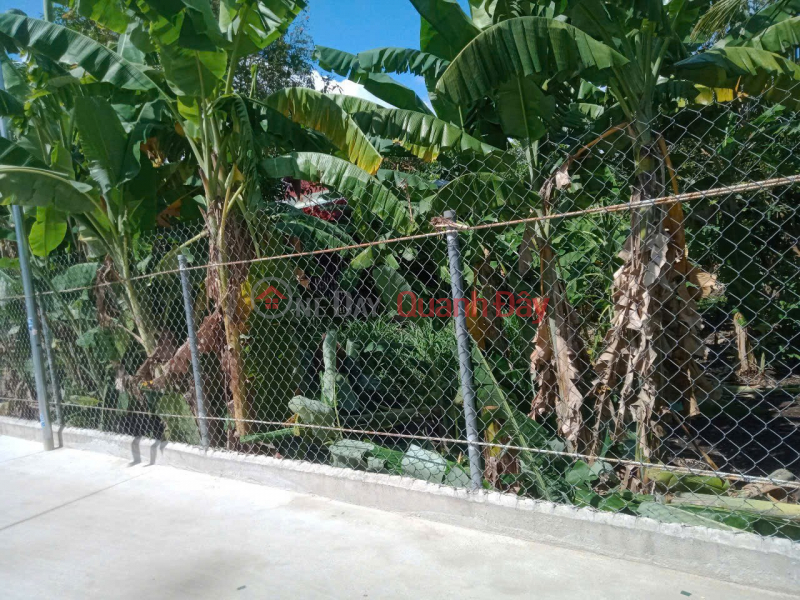  | Làm ơn chọn | Nhà ở Niêm yết bán | đ 4,1 tỷ