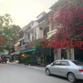 Cần bán căn nhà nằm trên đường Việt Bắc - khu Mai Xuân Dương - P. Đông Thọ _0