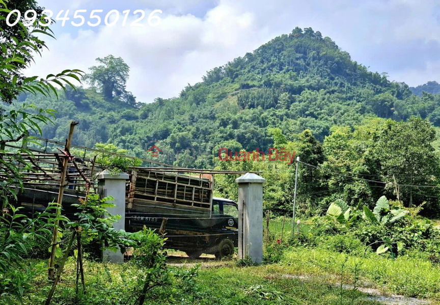 Chính chủ cần bán nhà vườn, trang trại xã Mường Bi, Phú Thọ, DT 953,8m2, giá 1,85 tỷ Việt Nam Bán | đ 1,85 tỷ