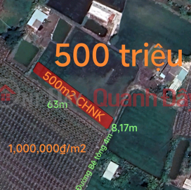 Urgent sale of land for annual plants in Duc Tan commune for 500 million (lowest price on the market) _0