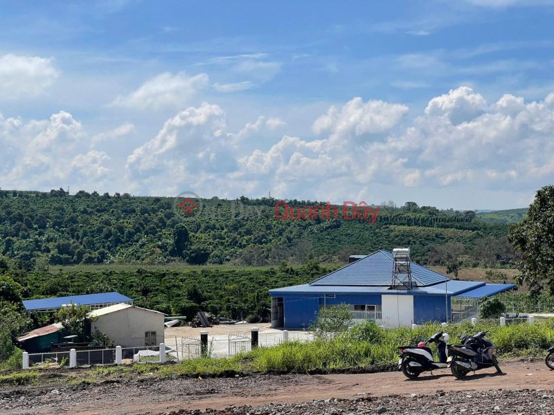 BÁN 1000m² ĐẤT ĐẸP – GIÁ 630 TRIỆU - Vị trí: Tân Hà, Lâm Hà, Lâm Đồng Niêm yết bán