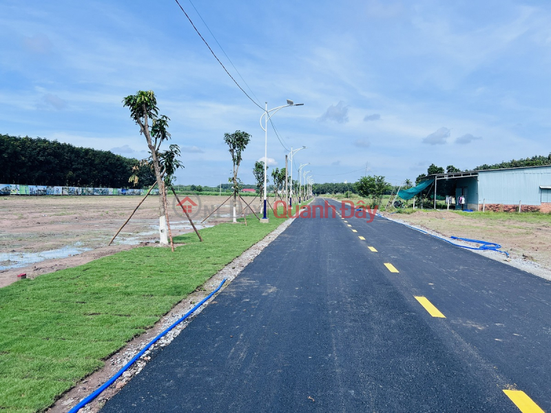 Need to urgently sell land near Becamex Industrial Park, cheap price, ready book, Chon Thanh land Sales Listings