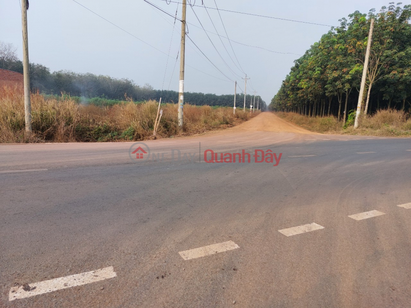 Property Search Vietnam | OneDay | Residential, Sales Listings | FOR SALE IN SOCIAL MINH LAP CHON THANH BINH PHUOC